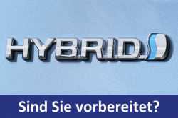 Bild: Toyota